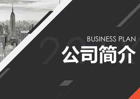上海西信信息科技股份有限公司公司簡介
